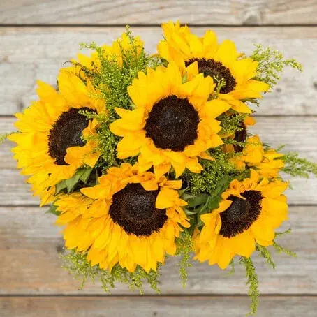The Bouqs - Hello Sunshine The Bouqs - Hello Sunshine
